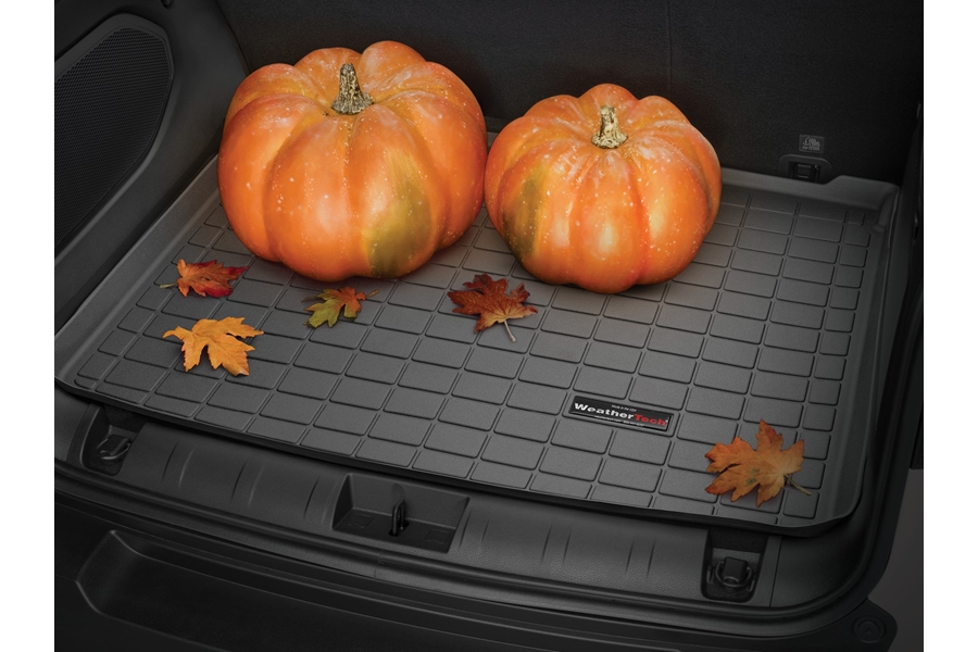 WeatherTech Cargo Liner - Black  - Bronco Sport 2021+ w/ Full-Sized Spare Tire