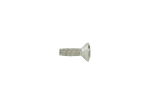 Mopar OEM Torx Screw - Door and Hood Hinges - JL/JT