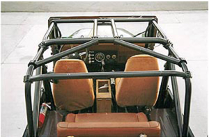 Rock Hard 4x4 Ultimate Sports Cage Straight Across Rear Bars