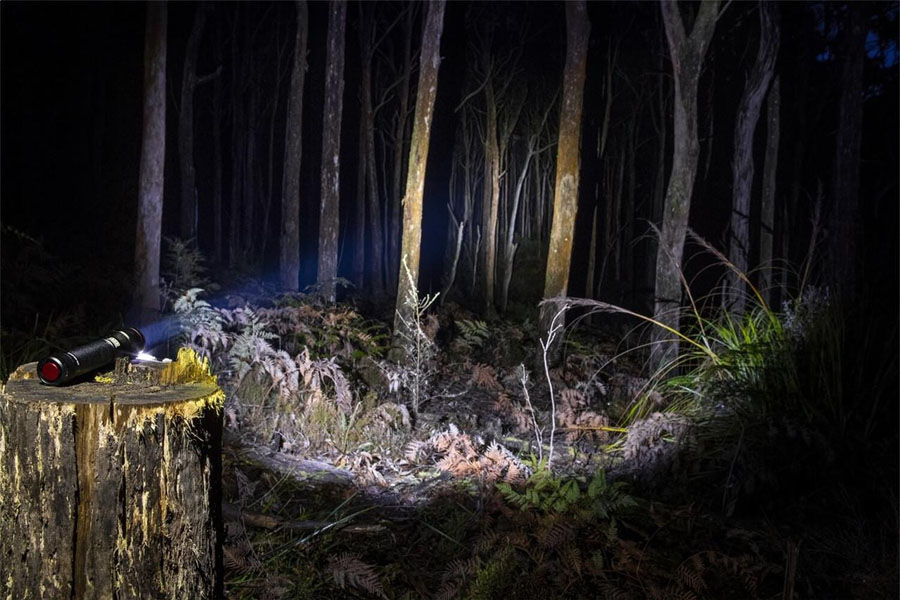 ARB Pure View 800 Flashlight