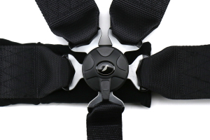 Corbeau 5-Point Harness Belt 3in