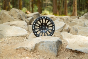 Baja Built RENEGADE Cast Beadlock Wheel, 17x9 5x5 -12mm - Black - JT/JL/JK