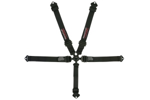 MasterCraft 5-Point SFI 16.5 Safety Seat Belt, Cam-Lock