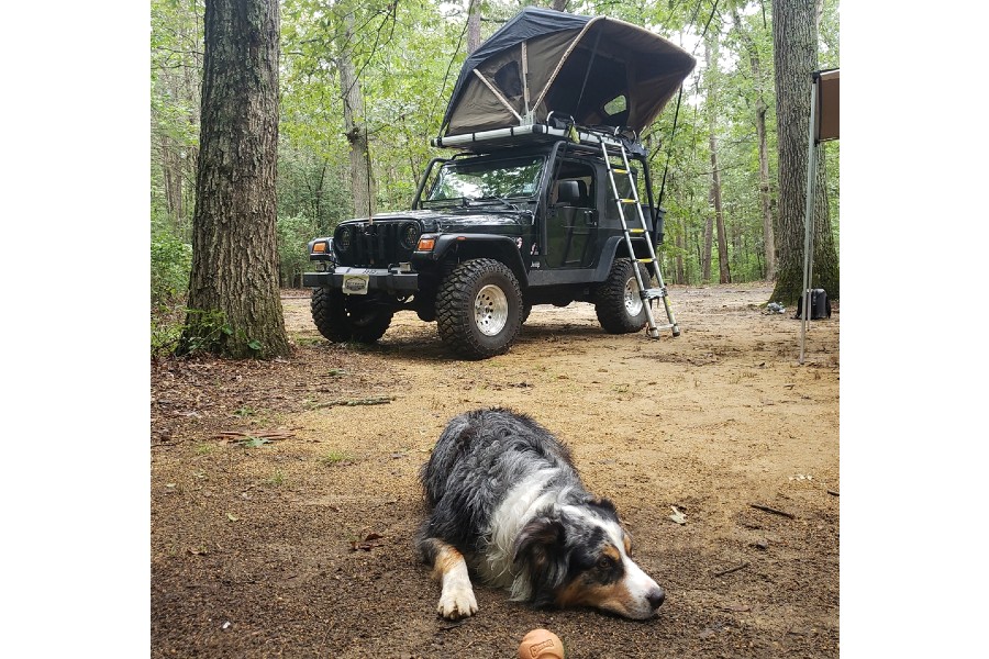 Raptor Series Voyager Roof Top Camping Tent w/ Ladder