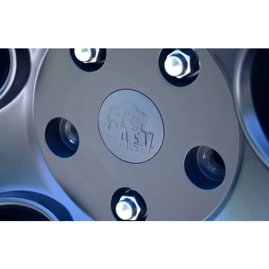 AEV Molded Center Cap Silver