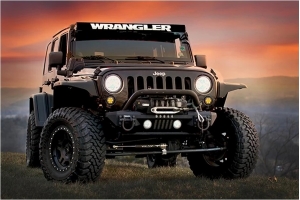 AeroLidz 52in Dual Row 'Wrangler' Light Bar Insert - White 