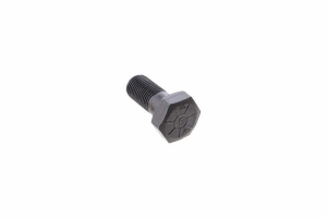 Dana 60/70 Differential Ring Gear Bolt