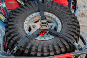 Bulldog Winch Tire Hold-Down Strap - Y Style