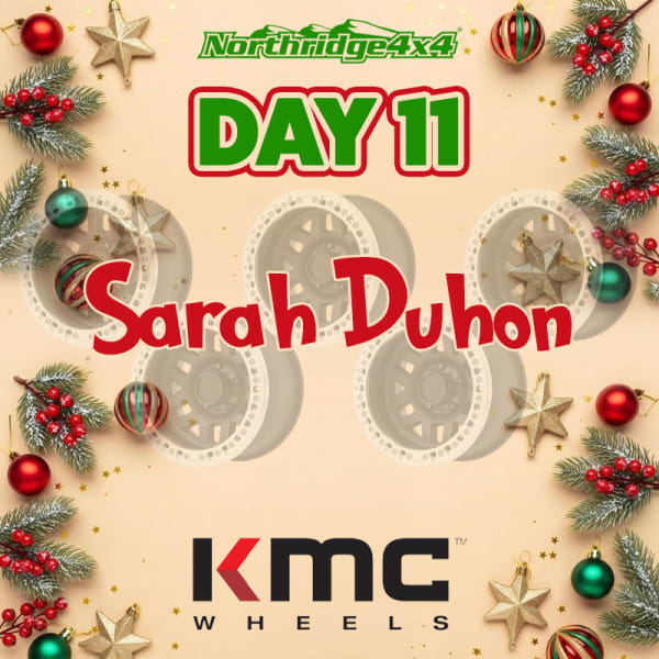 Day 11 giveaway winner