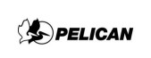 Pelican Pelican
