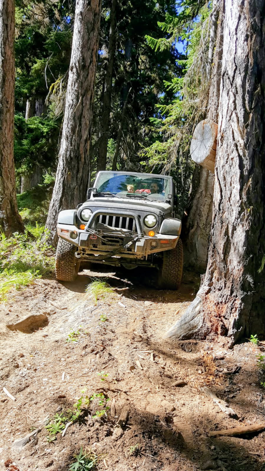 User Media for: ARB Deluxe Front Bumper w/ Winch Bull Bar Black - JK