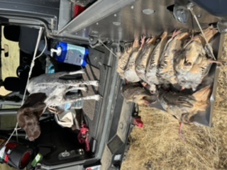 User Media for: Outback Adventures Trailgater w/ Bamboo Cutting Board - Black  - JL 