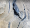 Milestar Mud Terrain Patagonia MT 37X12.50R17LT 124Q D8 Tire ( Part Number: 22050500)