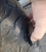 User Media for: Milestar Mud Terrain Patagonia MT 37X12.50R17LT 124Q D8 Tire